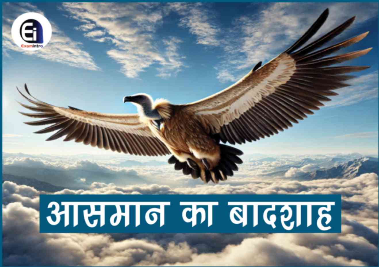 आसमान का बादशाह है यह पक्षी : हवाई जहाज से भी ऊंचा उड़ने वाला 